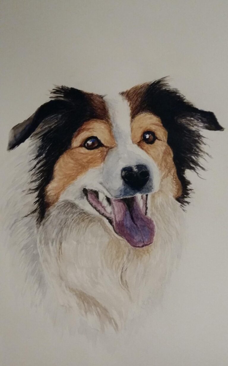 Screenshot_20200522-233112_Gallery